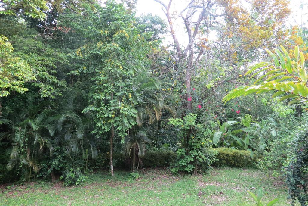 Apartamento Karibu Manuel Antonio Camera foto